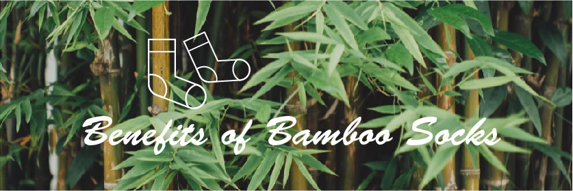 You are currently viewing Benefits of Bamboo Socks